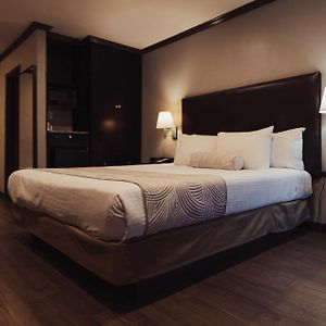 Classic Room 1 King Bed